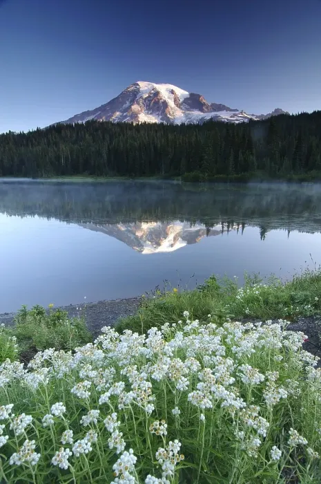 Framed Print : Mount Rainier reflected in a lake