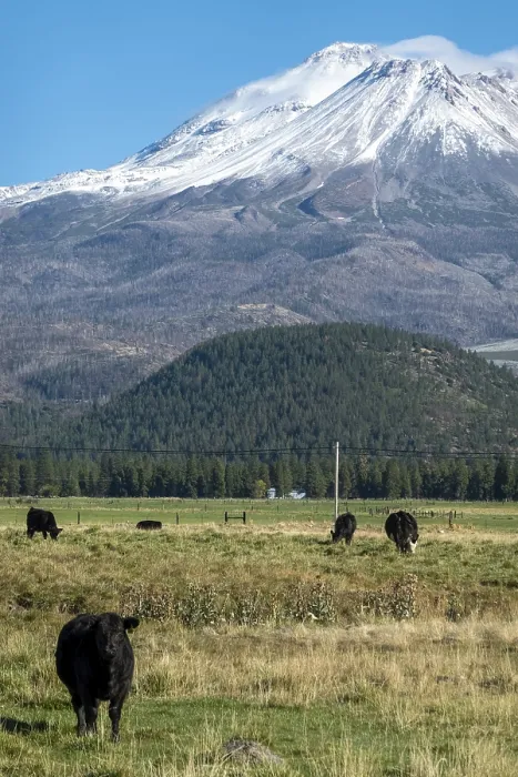 Framed Print : Mount Shasta in northern California with blue sky