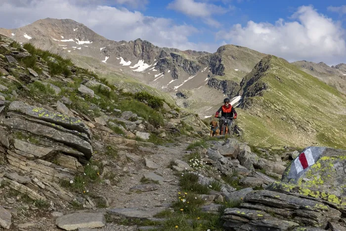 Framed Print : Mountain biker with traildog, man with Vizsla dog on a bike trail