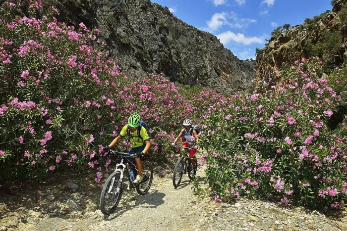 Framed Print : Two mountain bikers cycle between oleander bushes in the mountains