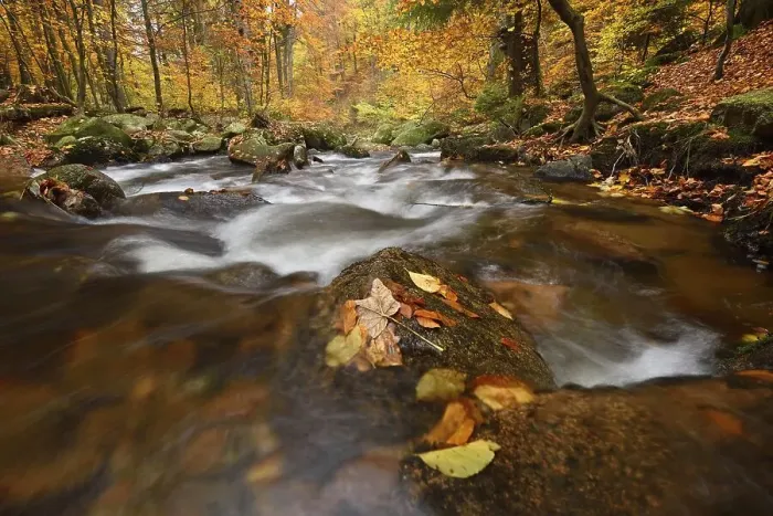 Framed Print : Mountain creek Ilse flows through autumnally coloured deciduous forest