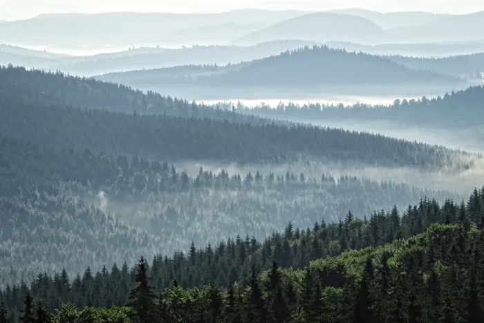 Framed Print : Mountain forest landscape in the morning with fog over the trees Framed Print : Mountain forest landscape in the morning with fog over the trees