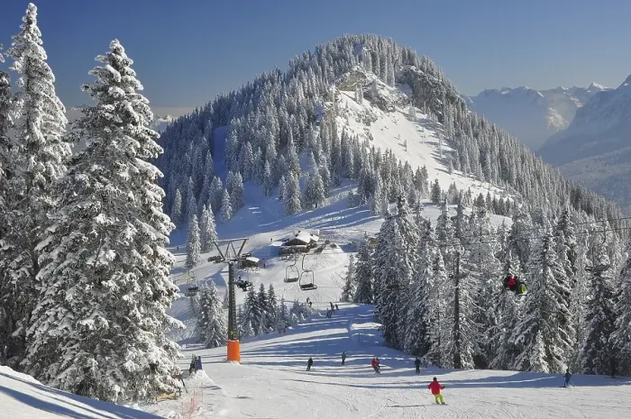 Framed Print : Mountain forest, ski area, ski slope