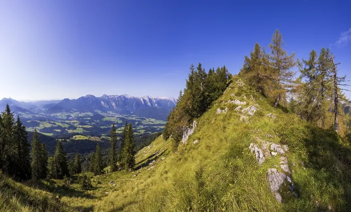 Framed Print : Mountain forest on the way to the Einberg with a view of the Lammertal and Tennengebirge Framed Print : Mountain forest on the way to the Einberg with a view of the Lammertal and Tennengebirge