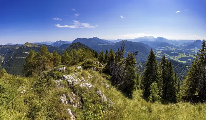 Framed Print : Mountain forest on the way to the Einberg with a view of the Osterhorn group Framed Print : Mountain forest on the way to the Einberg with a view of the Osterhorn group