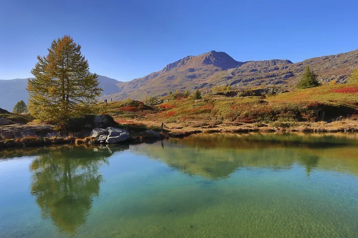 Framed Print : Mountain lake with reflecting water areas and lonely tree against mountain backdrop