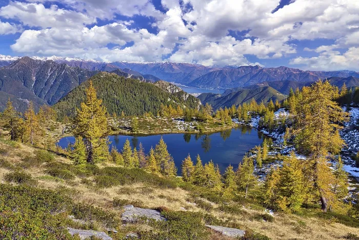 Framed Print : Mountain lake surrounded by autumnal larches
