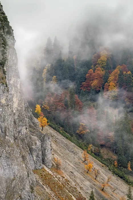 Framed Print : Mountain landscape with autumn coloured trees
