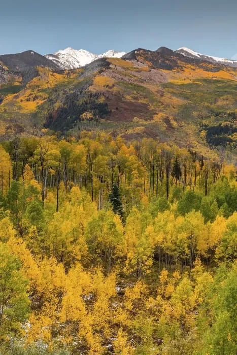 Framed Print : Mountain landscape with autumn forest