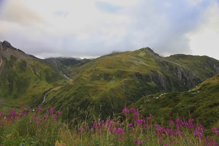 Framed Print : Mountain landscape with a flower meadow in the foreground and a cloudy sky