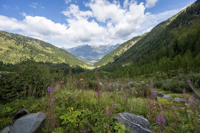 Framed Print : Mountain landscape with green meadows