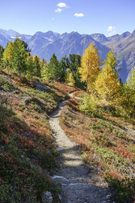 Framed Print : Mountain landscape with a hiking trail through golden autumn leaves and panoramic views