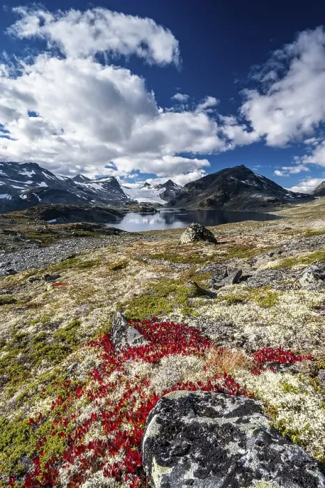 Framed Print : Mountain landscape in Jotunheimen National Park Framed Print : Mountain landscape in Jotunheimen National Park