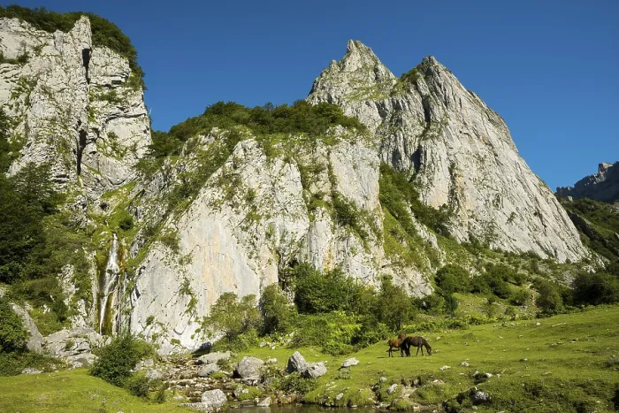 Framed Print : Mountain landscape and semi-wild horses