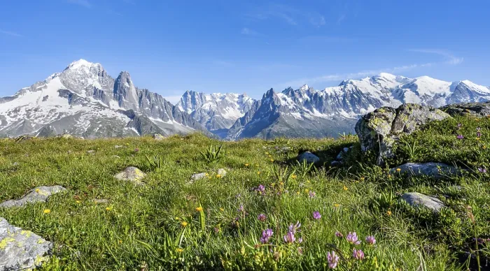 Framed Print : Mountain meadow with flowers, mountain panorama