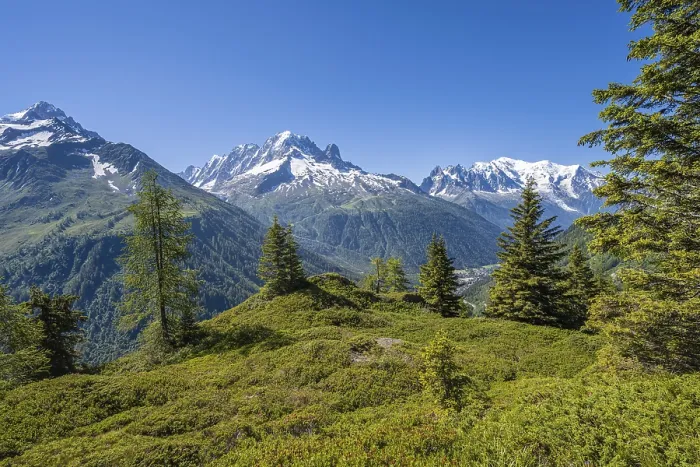 Framed Print : Mountain panorama from Aiguillette des Posettes