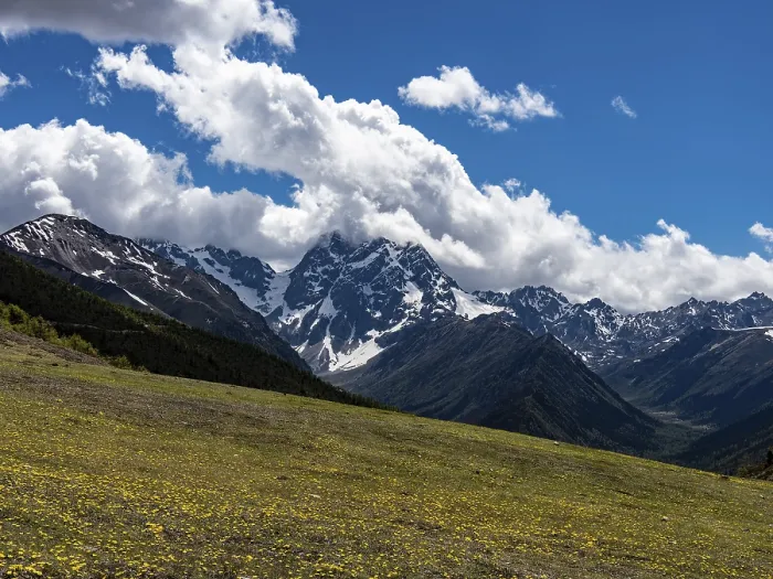Framed Print : Mountain ranges with snow and meadows with yellow flowers in the highlands of eastern Tibet