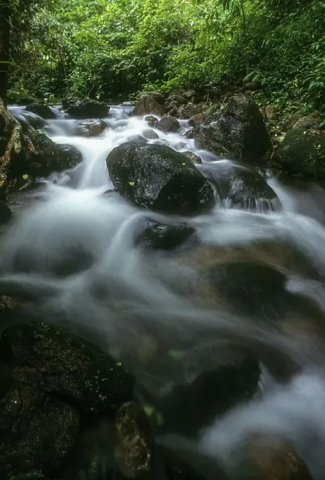 Framed Print : Mountain Spring in Western Ghats