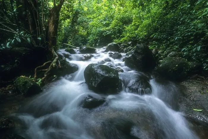 Framed Print : Mountain Spring in Western Ghats Framed Print : Mountain Spring in Western Ghats