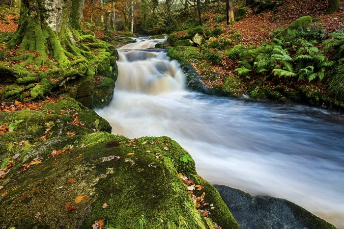 Framed Print : Mountain stream in autumnal deciduous forest Framed Print : Mountain stream in autumnal deciduous forest