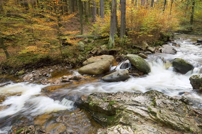 Framed Print : Mountain stream Ilse in autumn Framed Print : Mountain stream Ilse in autumn