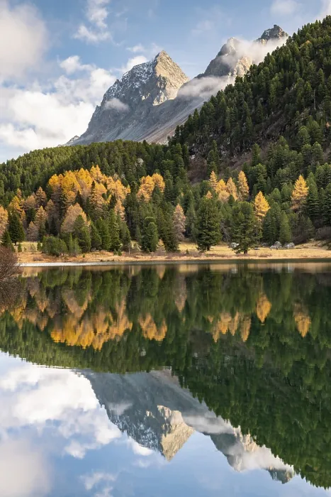 Framed Print : Mountains with autumn forest reflected in Lake Palpuogna Framed Print : Mountains with autumn forest reflected in Lake Palpuogna