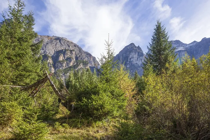 Framed Print : Mountains and forest in autumn Framed Print : Mountains and forest in autumn