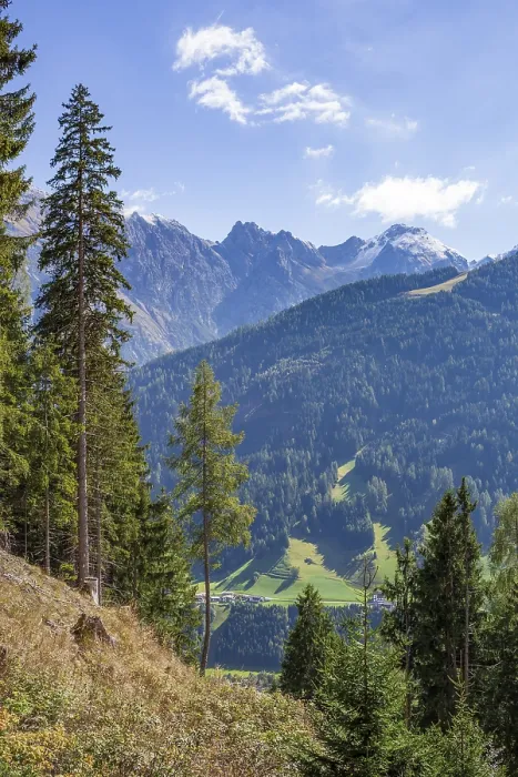 Framed Print : Mountains with forest and trees in autumn