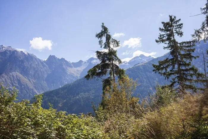 Framed Print : Mountains with forest and trees in autumn