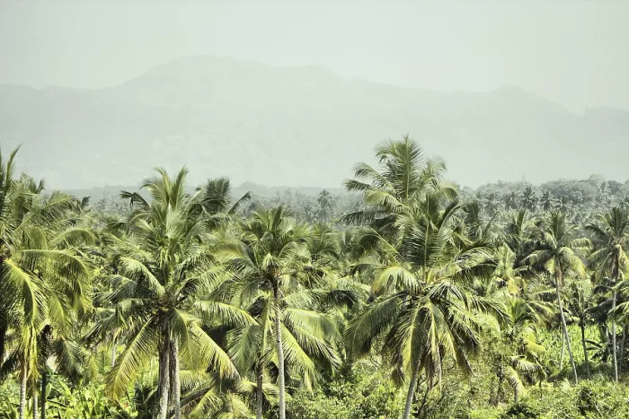 Framed Print : Mountains and jungle with palm trees of South-East Asia