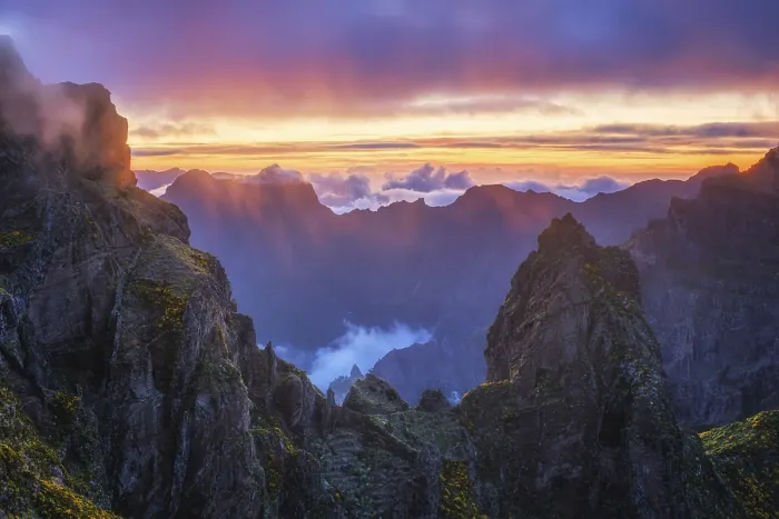 Framed Print : Mountains on sunset covered in fog and clouds with blooming Cytisus shrubs