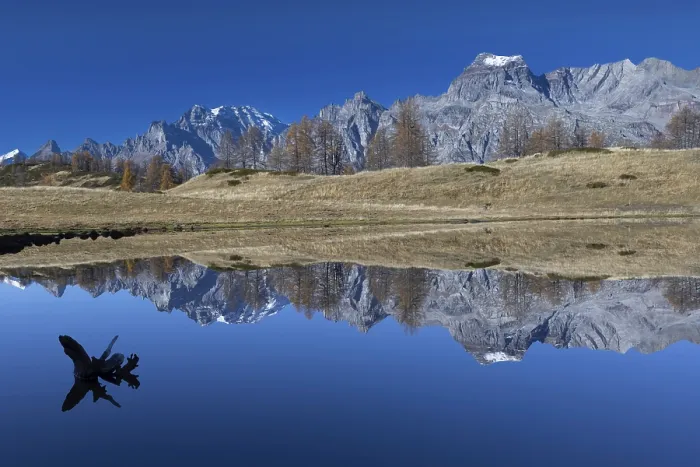 Framed Print : Mountains and a tree trunk are reflected in a calm lake under a clear blue sky
