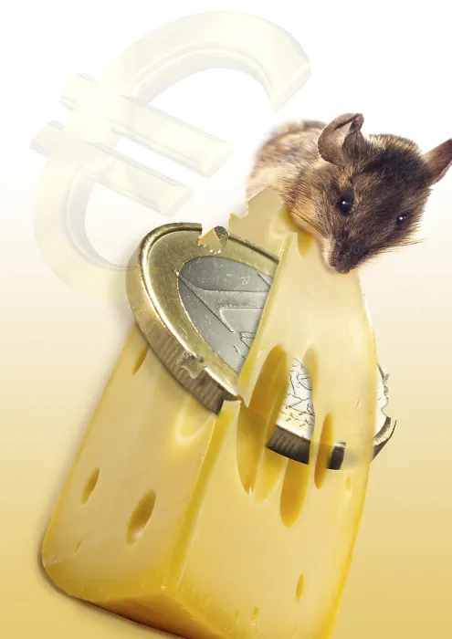 Framed Print : Mouse nibbling on wedge of Euro cheese Framed Print : Mouse nibbling on wedge of Euro cheese