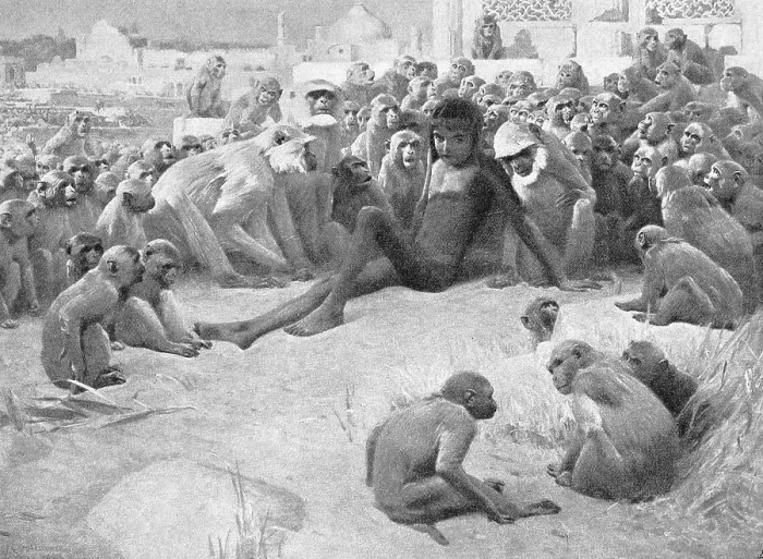 Framed Print : Mowgli, yearbook Moderne Kunst in Meisterholzschnitten