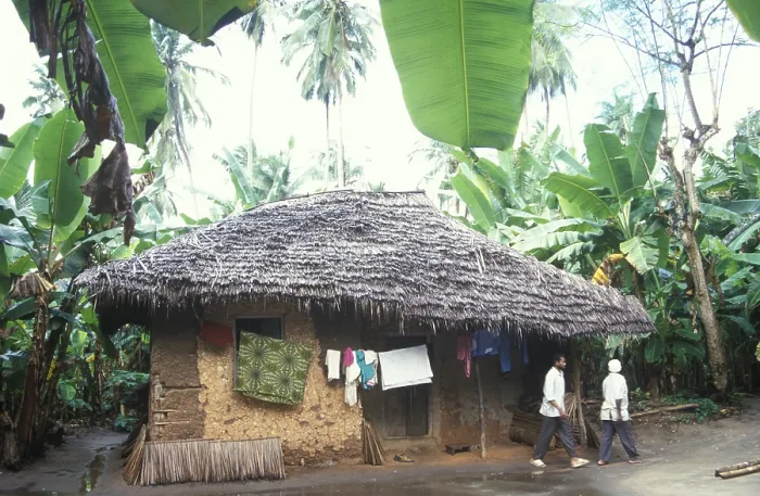 Framed Print : Mud hut between banana trees in the jungle