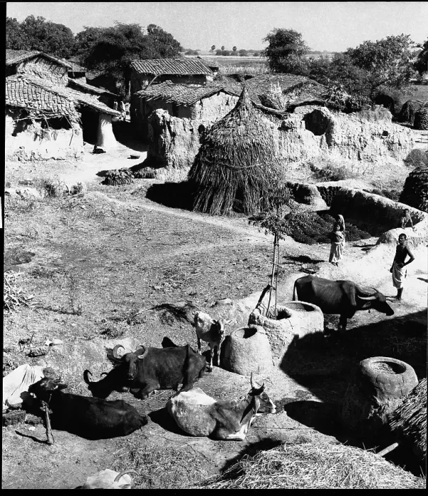 Framed Print : Behind the mud wall, Village Life, Uttar Pradesh, India, Asia, 1953, Asia Framed Print : Behind the mud wall, Village Life, Uttar Pradesh, India, Asia, 1953, Asia