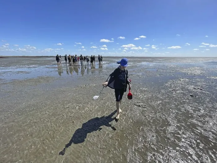 Framed Print : Mudflat walk, boy, group in background Framed Print : Mudflat walk, boy, group in background