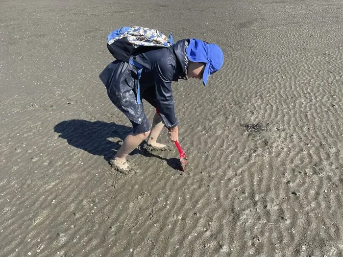 Framed Print : Mudflat walk, low tide, mud crab (Corophium volutator)