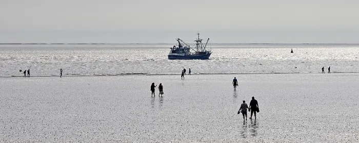 Framed Print : Mudflat walkers at low tide, Schleswig-Holstein Wadden Sea National Park