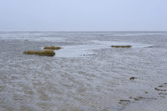 Framed Print : Mudflats at low tide in the Wadden Sea National Park Framed Print : Mudflats at low tide in the Wadden Sea National Park