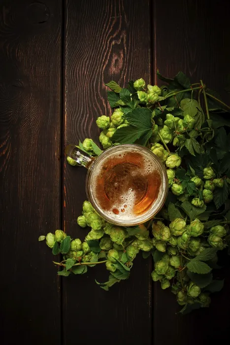 Framed Print : A mug of beer, on a wooden table