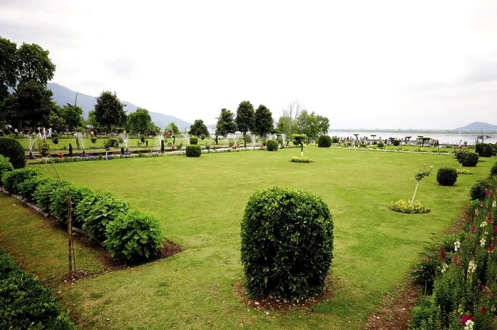 Framed Print : Mughal garden nishat bagh, Srinagar