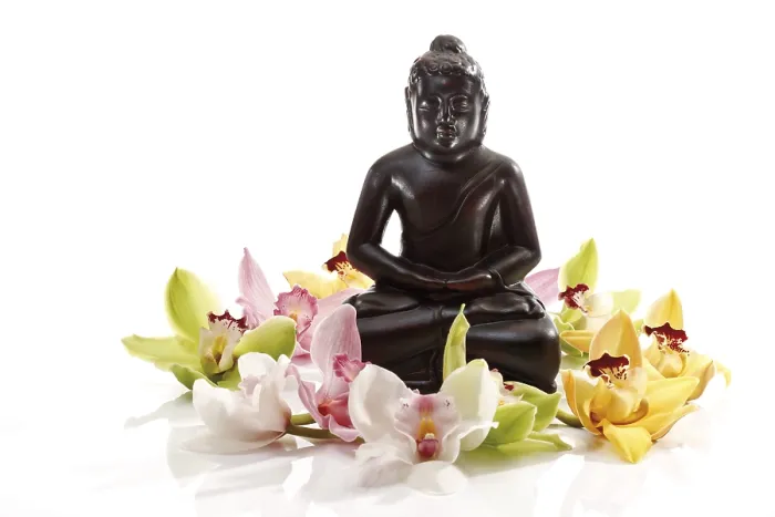 Framed Print : Multicoloured orchid blossoms (Orchidaceae) in front of a black Buddha statue