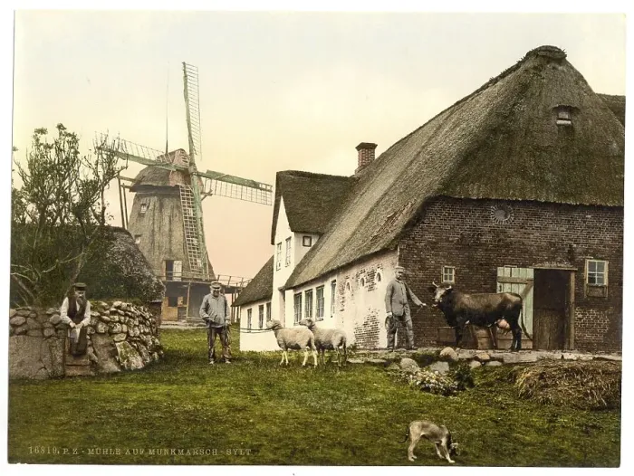 Framed Print : The mill in Munkmarsch on Sylt