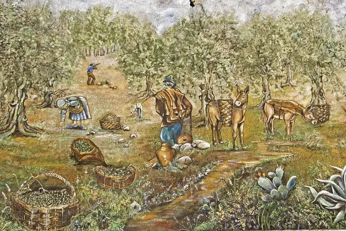 Framed Print : Mural painting, olive harvest, Aspermonte