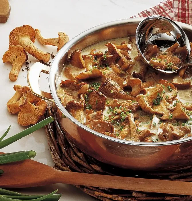 Framed Print : Mushroom goulash, Austria, Europe