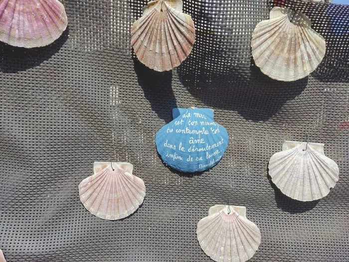 Framed Print : Several mussels and a blue mussel with a quote attached to a net