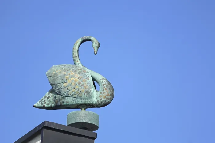 Framed Print : Mute swan sculpture on the roof of the Schwanberg monastery