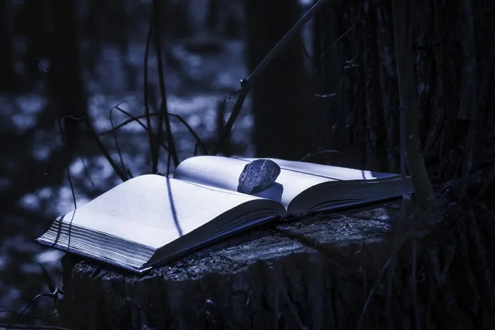 Framed Print : A mysterious book stays on the tree trunk with a stone on a page Framed Print : A mysterious book stays on the tree trunk with a stone on a page