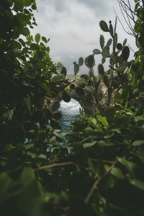 Framed Print : Mysterious view of a rock arch through dense vegetation with churning sea in the background